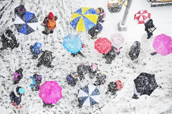 Photograph Mitchell Funk Elevated View Of Color Umbrellas on One Eyeland